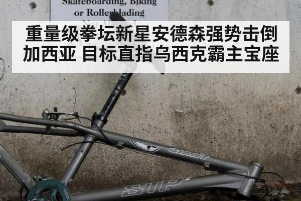 重量级拳坛新星安德森强势击倒加西亚 目标直指乌西克霸主宝座